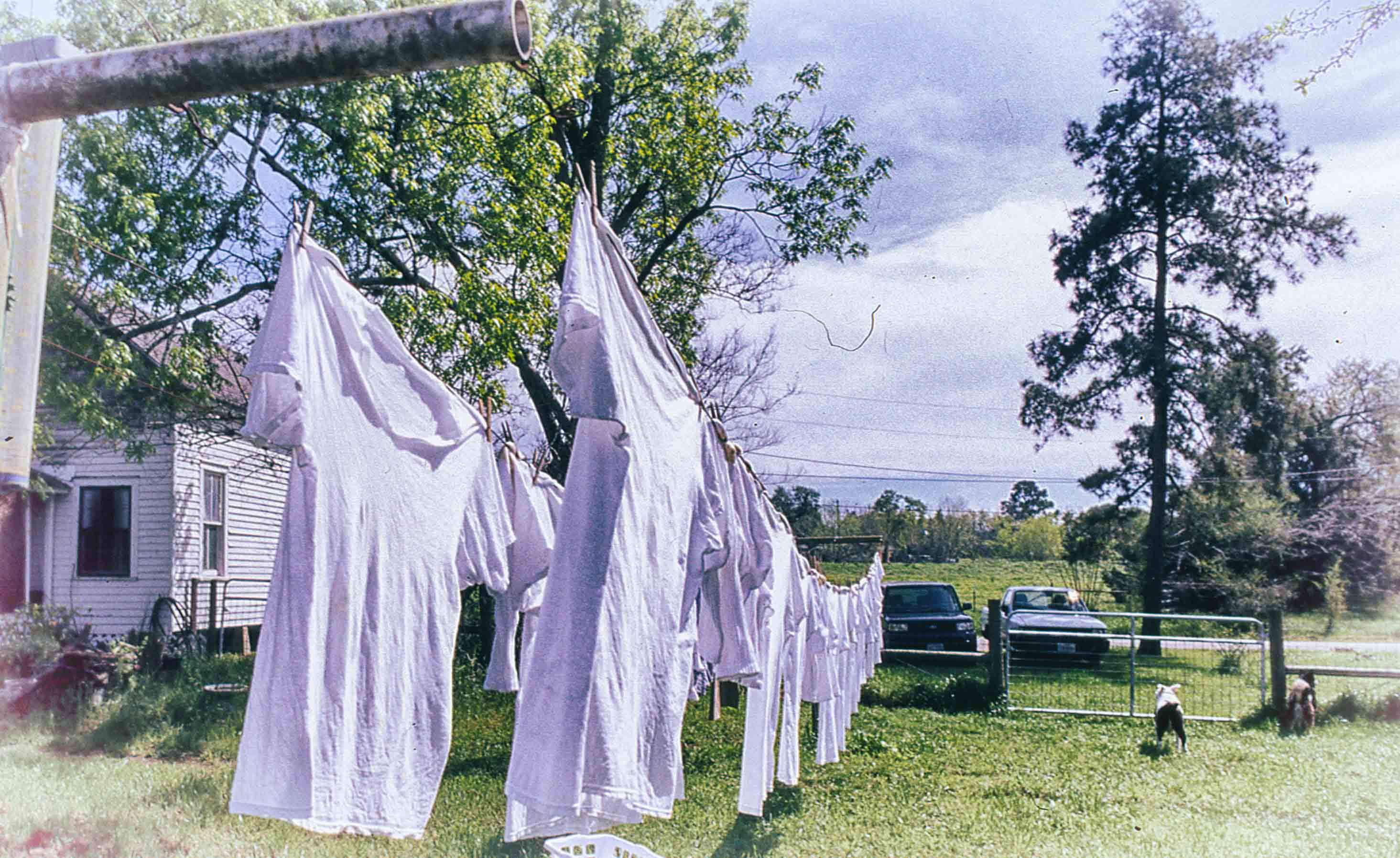 Hanging Whites