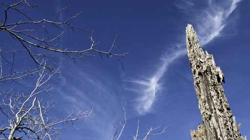 Blue Sky