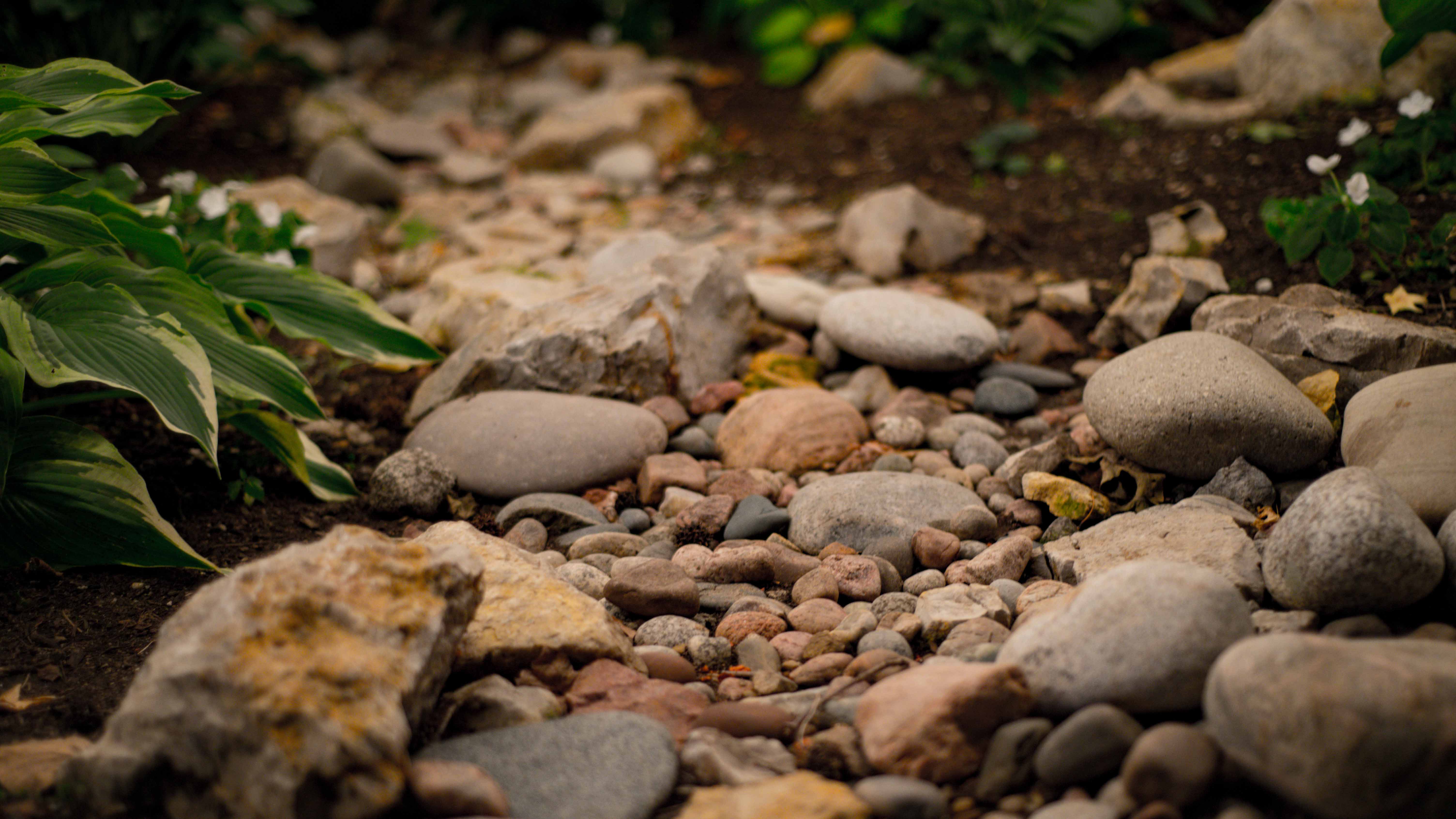 Garden Rocks